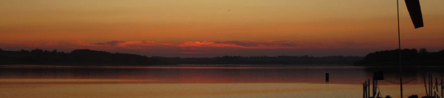 Rutland Water Nature Reserve Re-Opens