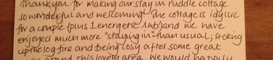 Guest Feedback – August 2013