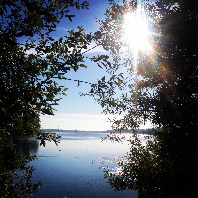 Summer at Rutland Water