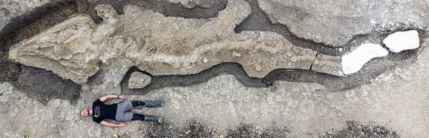 Ichthyosaur: Huge fossilised ‘sea dragon’ found at Rutland Water