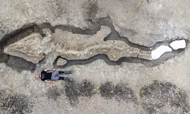 Ichthyosaur: Huge fossilised ‘sea dragon’ found at Rutland Water