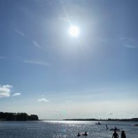 Open water swimming at Rutland Water