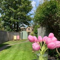 The garden at Puddle Cottage near Rutland Water